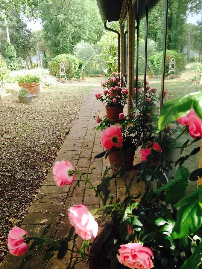 Podere Il Lampo Montalcino Holiday home